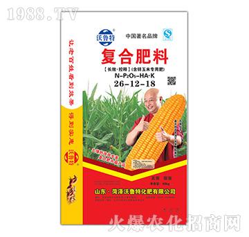 ���\���׌��Ï�(f��)�Ϸ�26-12-18-������