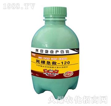 ���ü���-120-�o�r