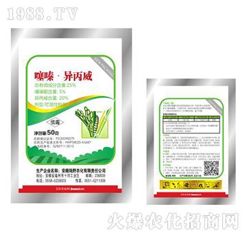 25%���ͪ����������