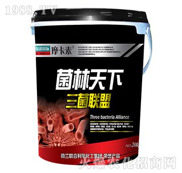 ������������(li��n)��-Ħ����-��(qi��ng)о���H