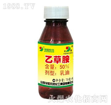 50%�Ҳݰ�-�G��