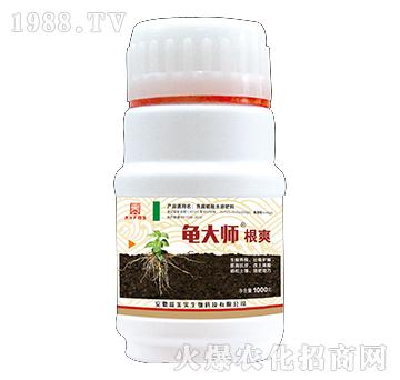 1000g��ˬ-����-������(sh��)