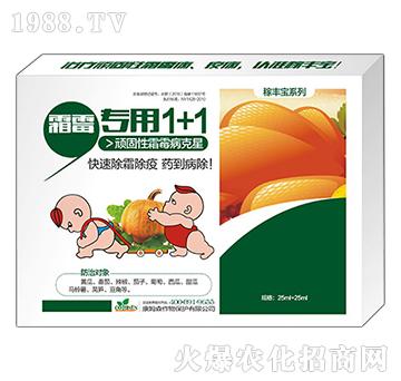 ˪ù��(zhu��n)��1+1-���S��-��ķɭ