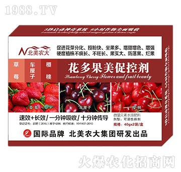 ��ݮ��܇���������һ�������ٿ؄�-�����r��