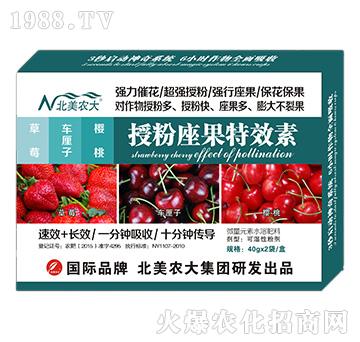 ��ݮ��܇?y��n)����������ڷ�������Ч�?�����r(n��ng)��