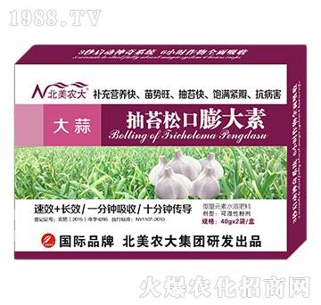 �����̦�ɿ������-�����r(n��ng)��