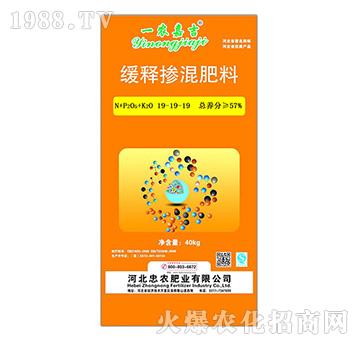 ��ጓ����19-19-