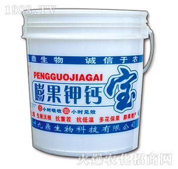 �����}��-�Ŷ�-�ذ�Ȫ