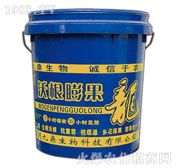 �ָ����-�ذ�Ȫ