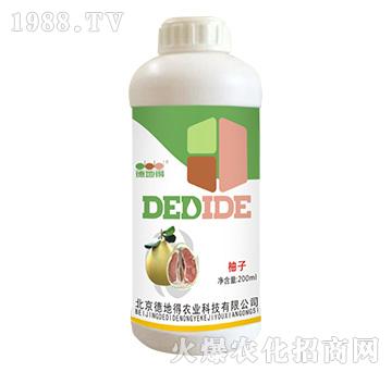 ���ӌ�(zhu��n)��-�µص�