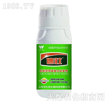 �ى�-�֠���(y��u)