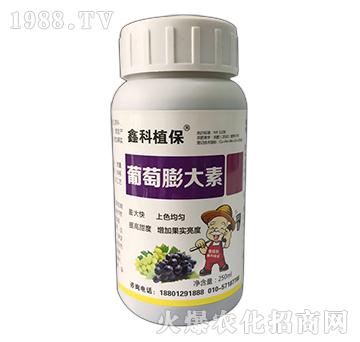 ���������-�ο�ֲ��