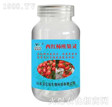 ���t�������`-�֠���(y��u)