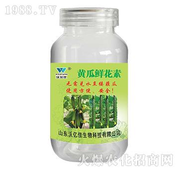 �S���r����-�֠���(y��u)