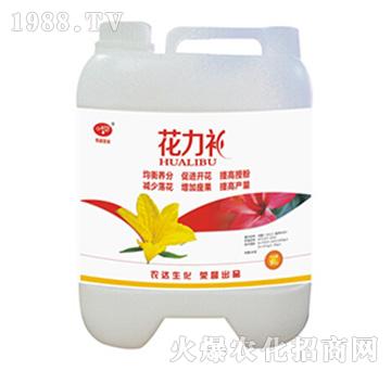 �����a-�r(n��ng)�_����