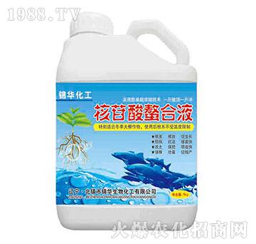 ����������Һ-һ����