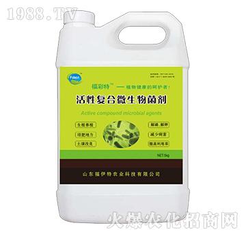 ���ԏ�(f��)��΢�������-������-������