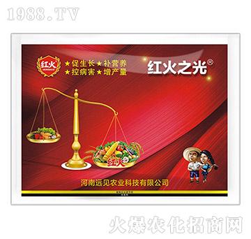 �t��֮��-�hҊ�r�I(y��)