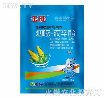 40%���ס�������-����-�h(yu��n)Ҋ�r(n��ng)�I(y��)