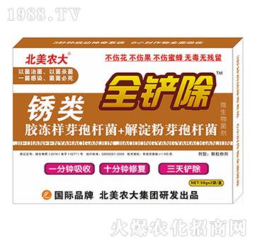 �P�(l��i)-ȫ�P��-�����r(n��ng)��