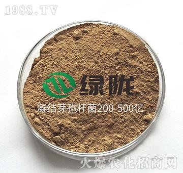 ���Y(ji��)ѿ�ߗU��-�G�]����