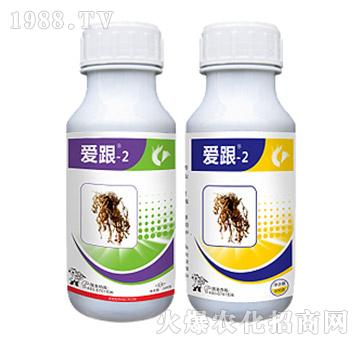 ���ξ�(xi��n)�x(ch��ng)��(zhu��n)��-��(��i)��-2���b-��Ѹ