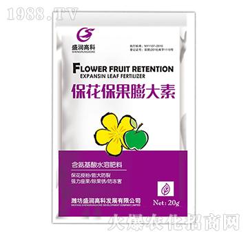 �������������-ʢ���߿�