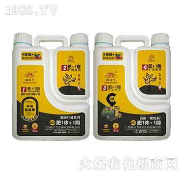 ��ݮ���ã������~ʢ��-��1�w+1ø-����