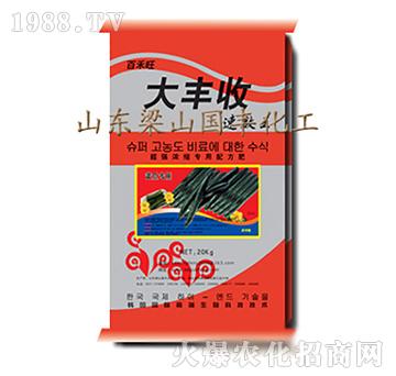 �S�ό���-���S��-��ɽ���S