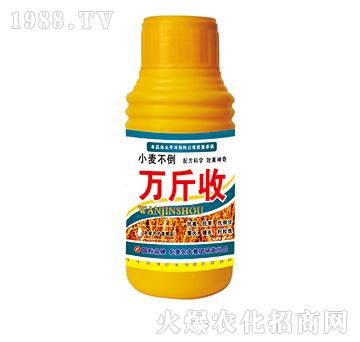 �f����-�����r��