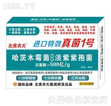 �M(j��n)����Ч���1̖(h��o)-�����r(n��ng)��