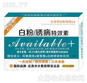 �׷��P����Ч��-�����r��