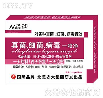 �������(x��)��������һ����-�����r(n��ng)��