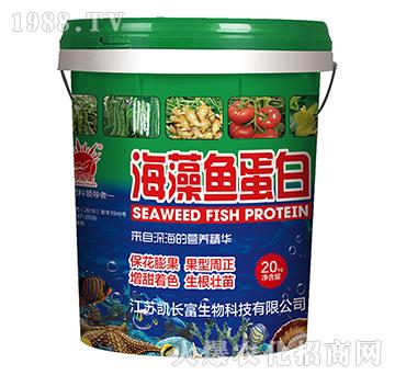 �����~����-�P�L��