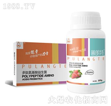 ��ݮ����-���İ�����������-������