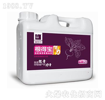 ���Ì�-������