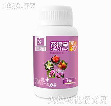 ���Ì���ƿ��-������