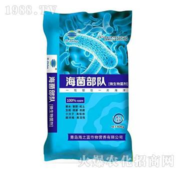 ΢�������-�������-��֮�{(l��n)