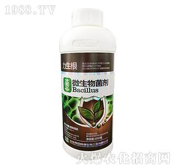 ΢�������-������-��᷾G��