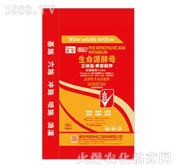 20kg���������S���������Դ��ĸ-���Z-�(y��ng)�⻯��