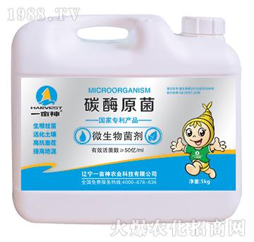 ̼øԭ��-һ����