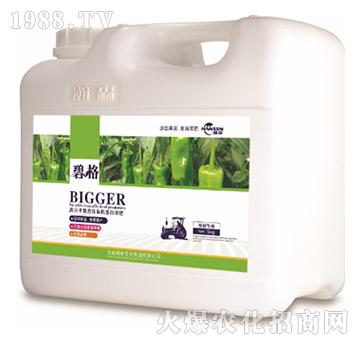 �������ø߷��ӏ�(f��)�����ЙC(j��)����Һ�ʣ�5kg��-�̸�-�ɭ�r(n��ng)�I(y��)