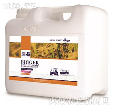 ˮ�����ø߷��ӏ�(f��)�����ЙC(j��)����Һ�ʣ�5kg��-�̸�-�ɭ�r(n��ng)�I(y��)