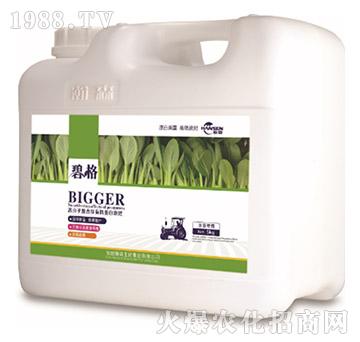 �~�ˌ��ø߷��ӏ�(f��)�����ЙC����Һ�ʣ�5kg��-�̸�-�ɭ�r(n��ng)�I(y��)