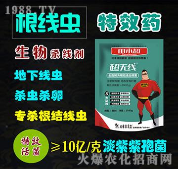 ���Y(ji��)���xˎ�������-���o��-��С��