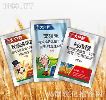 ����3�M��-�к����_