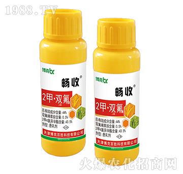 44%2�ס��p��-����