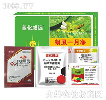 ��ʭһ��-�滯���h(yu��n)