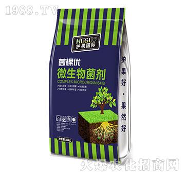 ΢�������-���Ã�(y��u)-�o(h��)�����H