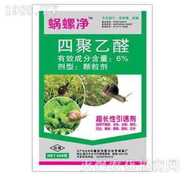 6%�ľ���ȩ�w����-΁�݃�-�I���r�I(y��)